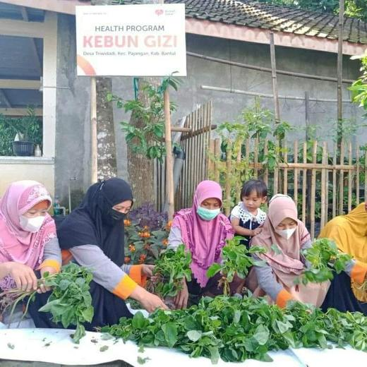 Panen Raya Kebun Gizi Desa Triwidadi