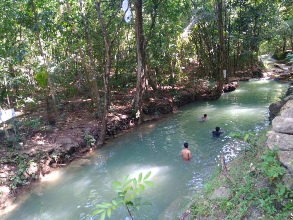 Green double couch with wooden legs
